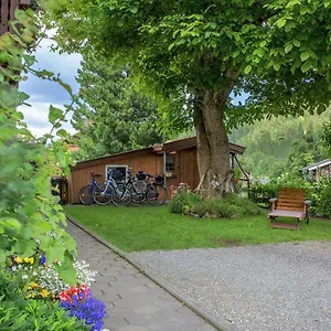 Dressler Apartment